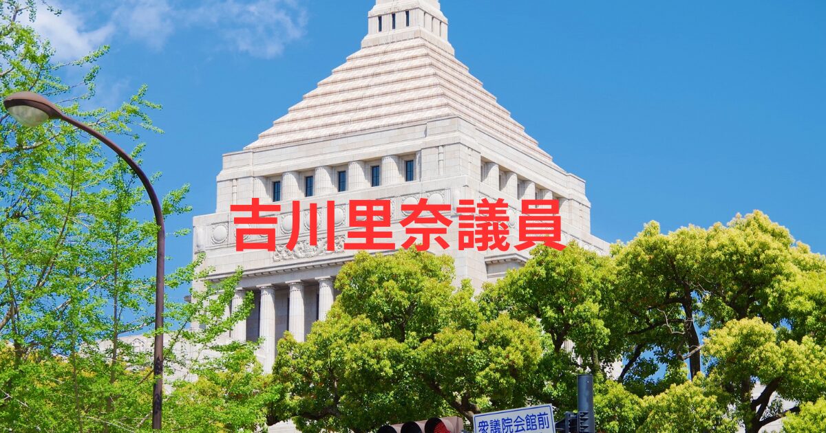 吉川里奈の高校と学歴まとめ