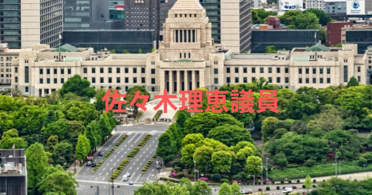 佐々木理恵の若い頃は？